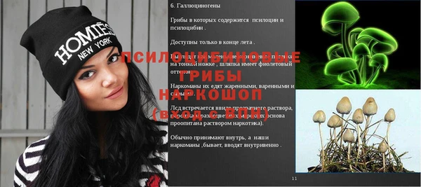 экстази Алзамай