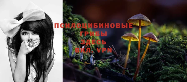 первитин Алексеевка