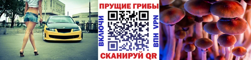 Псилоцибиновые грибы GOLDEN TEACHER  где найти наркотики  Куса 